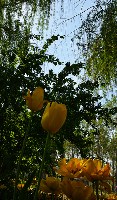 DSC_0029.JPG