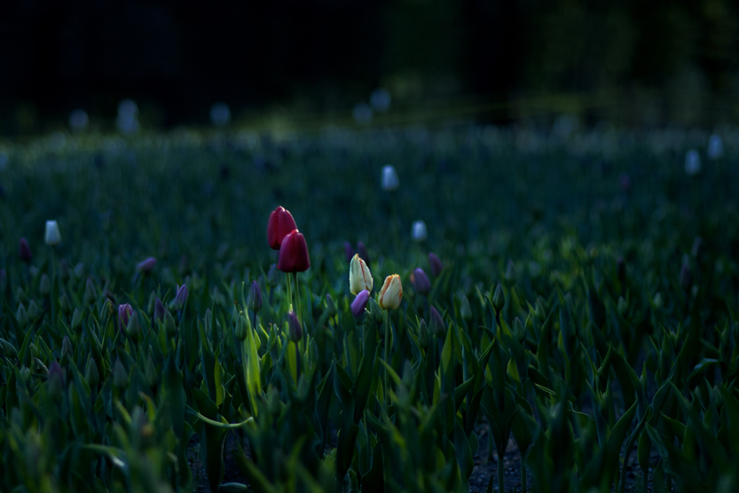 DSC_9626.JPG