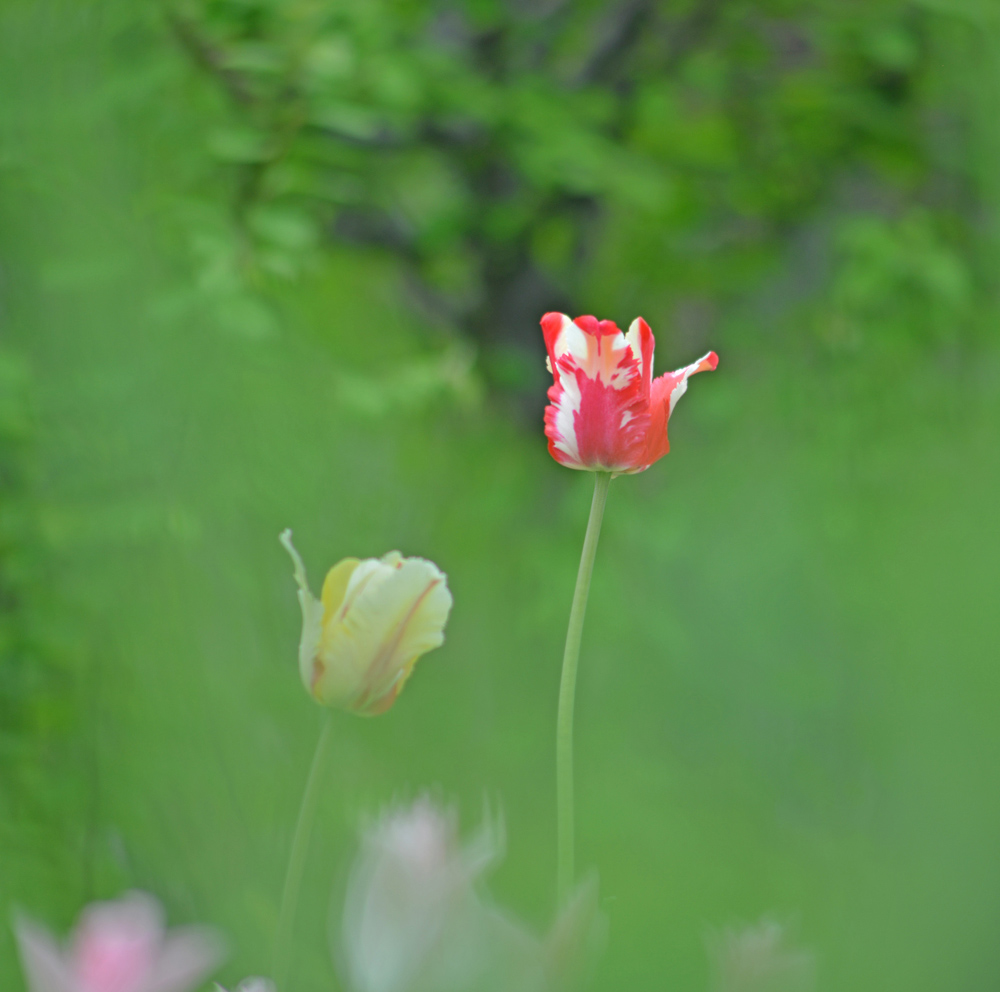 DSC_1538 .jpg