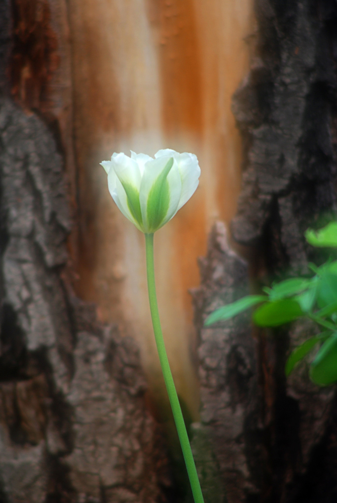 DSC_1813 .jpg