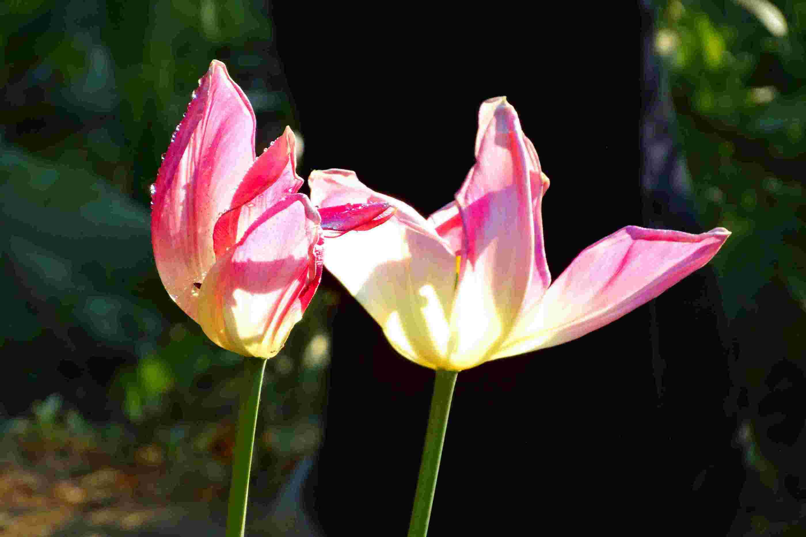 nEO_IMG_DSC00067.jpg