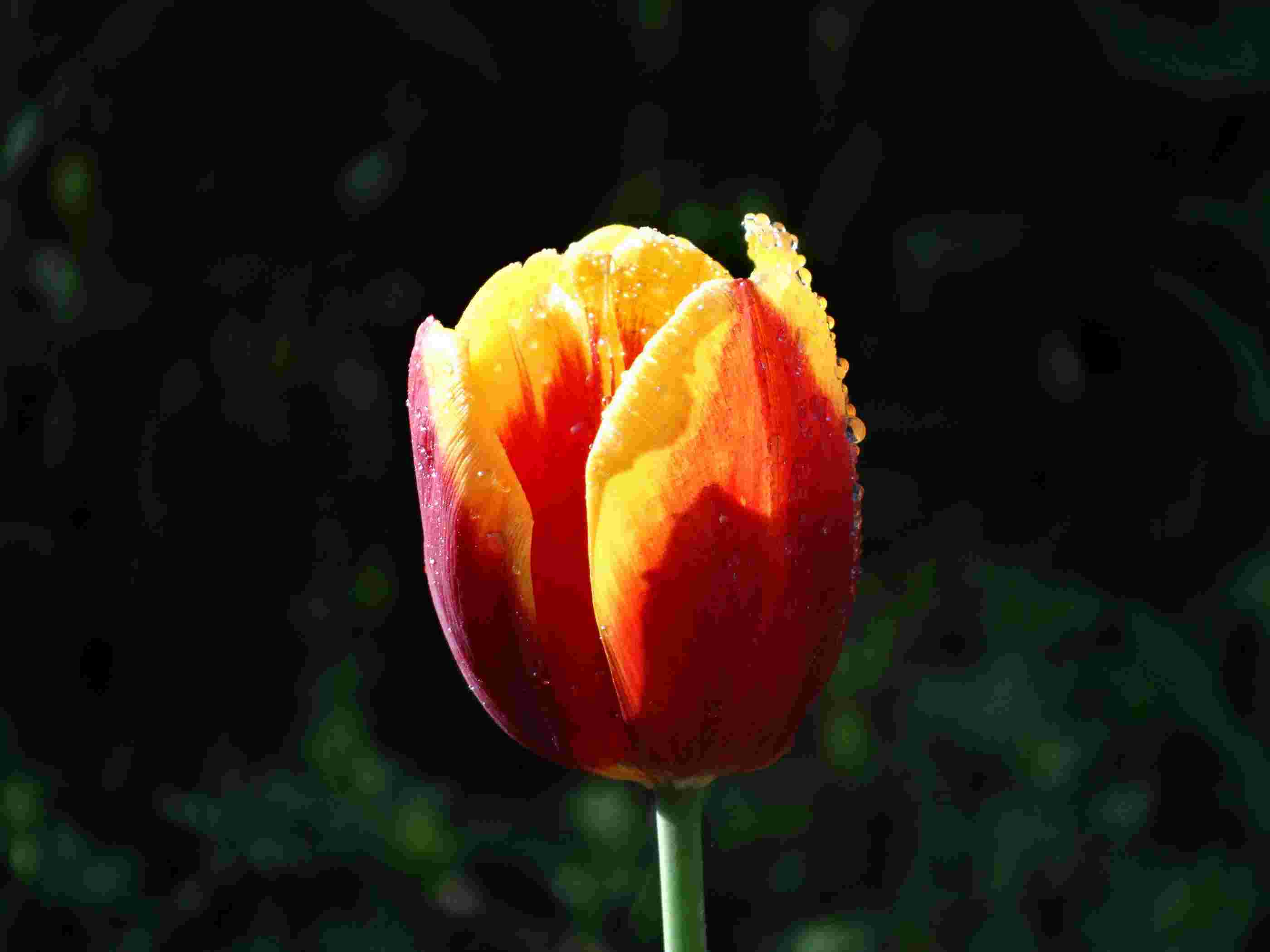 nEO_IMG_DSC00071.jpg