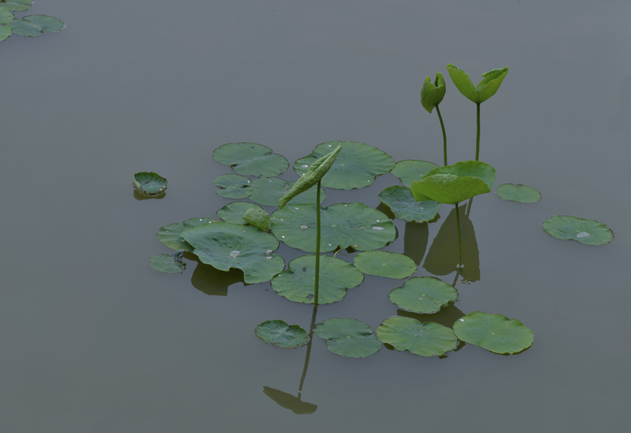 _3.H101629.jpg