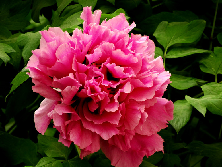 DSC02904_.jpg