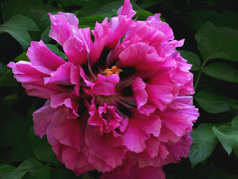 DSC03012_.jpg