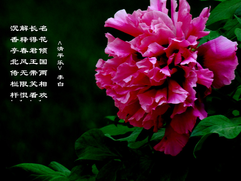 DSC03069__.jpg