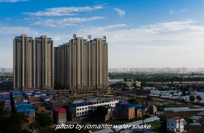 DSC_4539.jpg