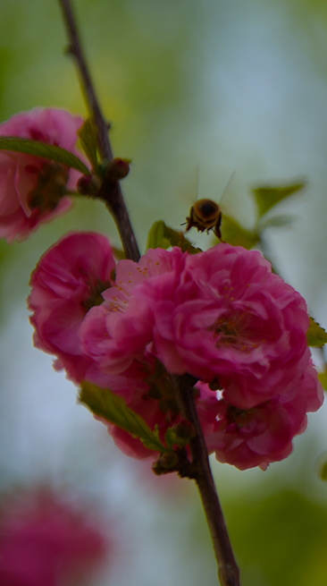 DSC_0069.JPG