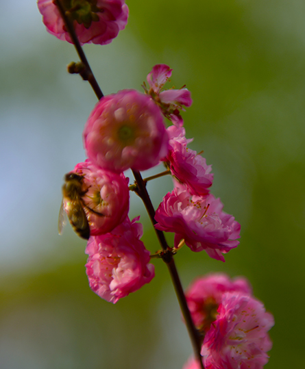 DSC_0090.JPG