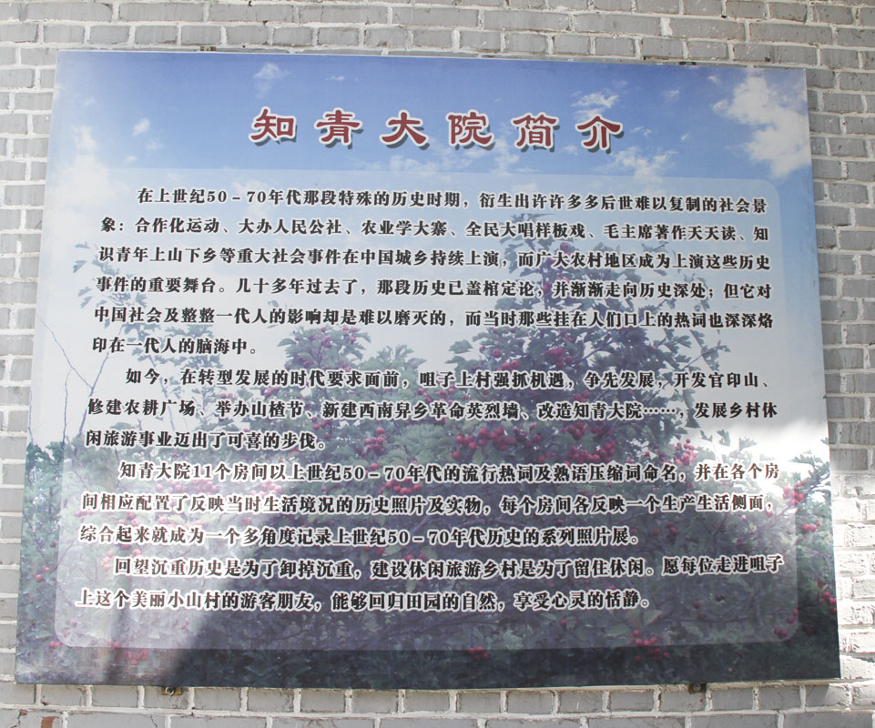 IMG_0417.jpg