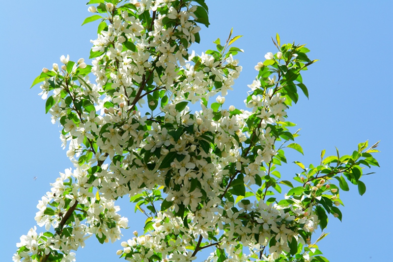 DSC04365___.jpg