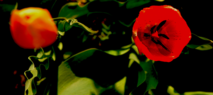 DSC_0104.JPG