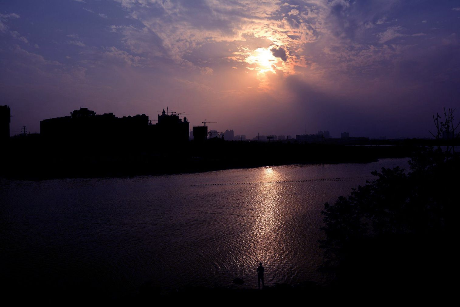 _DSC0202__.jpg