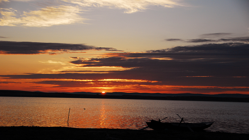 DSC_0645_.jpg