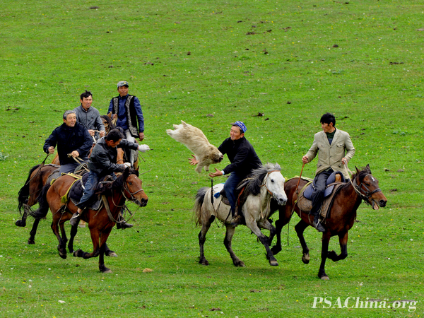01.ԾJPS CMƷ˵3Kazakh grab sheep3.jpg