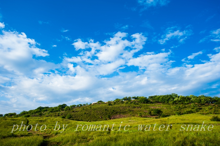 DSC_4868.jpg