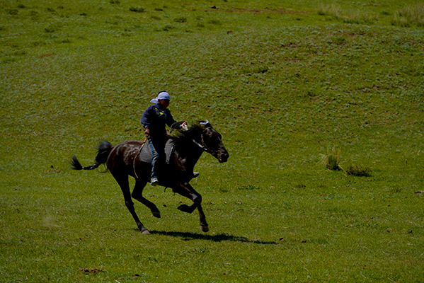 DSC_0287.JPG