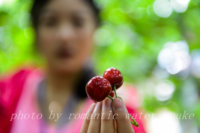 DSC_9807.jpg