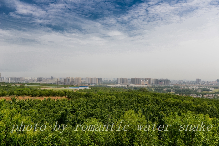DSC_9831.jpg