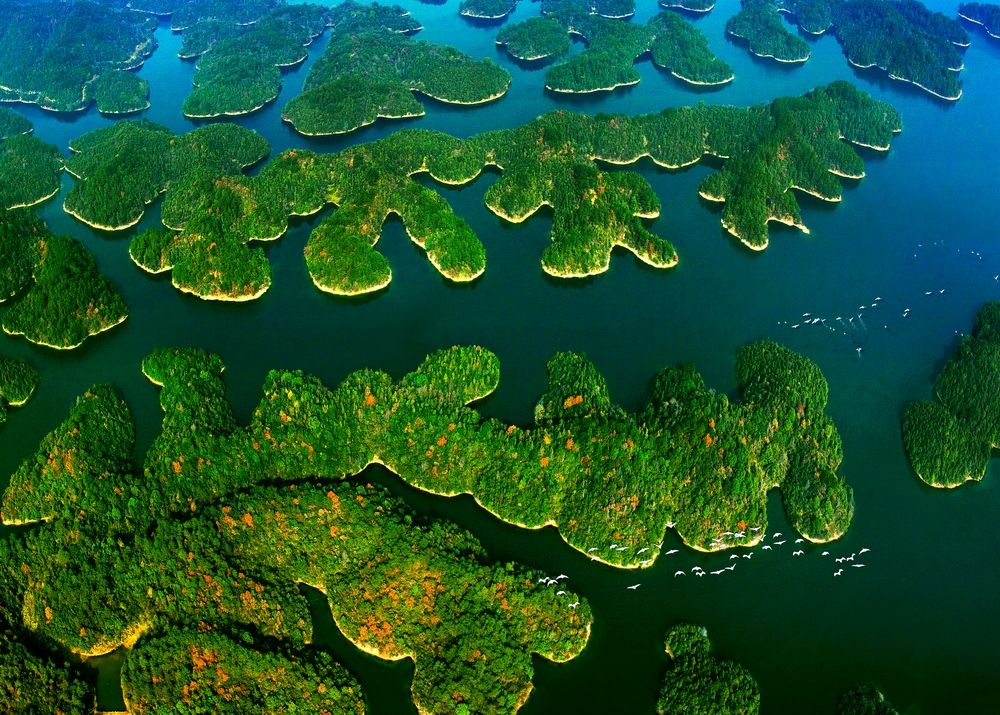 4 IPAȻѫе죨й.jpg