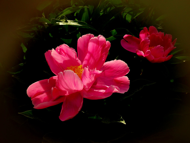 DSC04362_.jpg