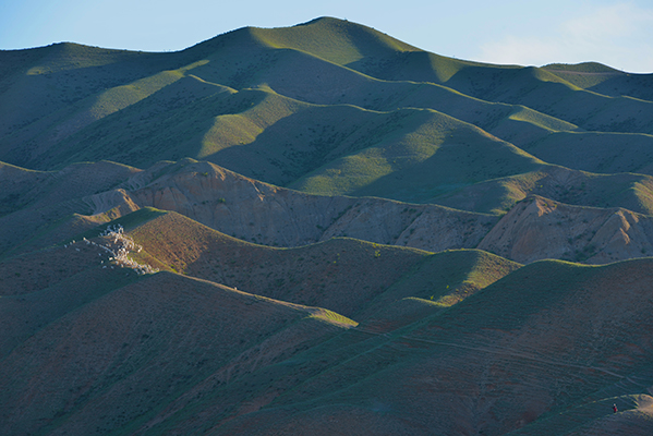 DSC_0183.JPG