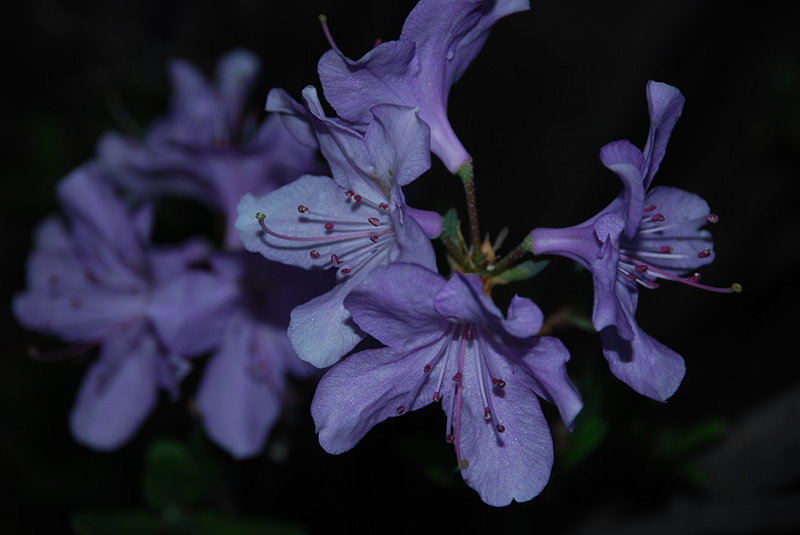 DSC_0716_.jpg