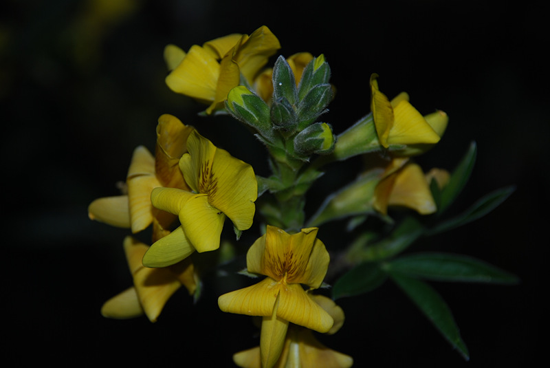 DSC_0706_.jpg