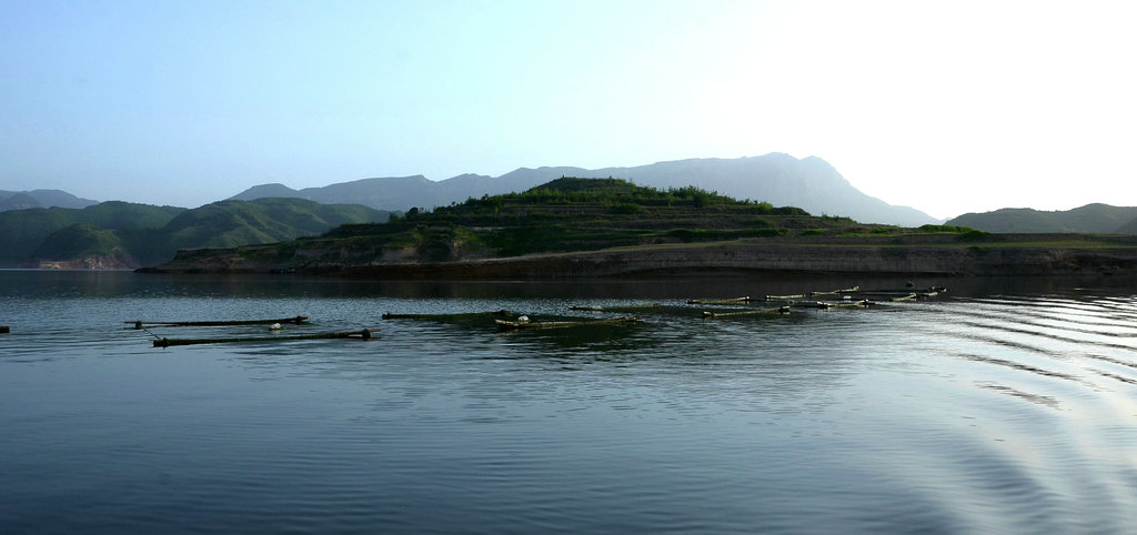DSC_3524.jpg