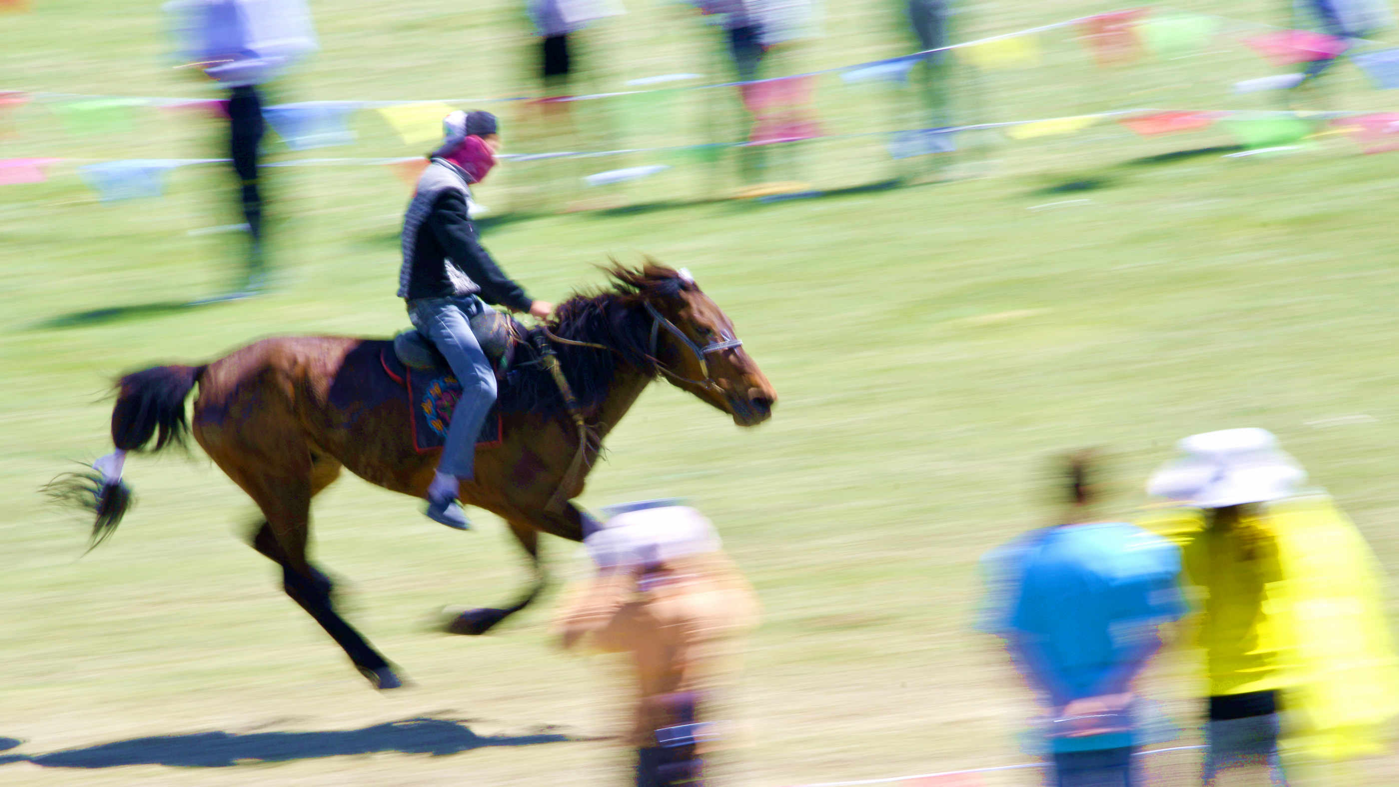 _DSC0214.jpg