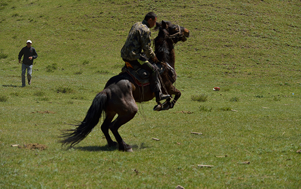 DSC_0124.JPG