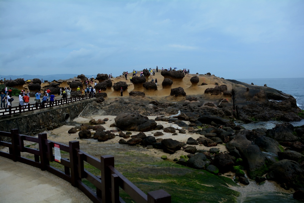 DSC_5078_conew1.jpg
