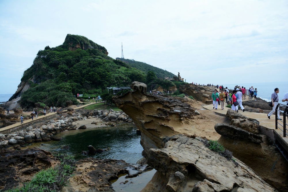 DSC_5008_conew2.jpg