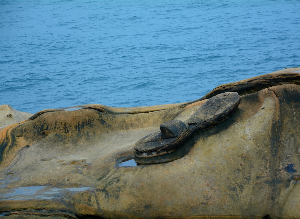 DSC_5026_conew2.jpg