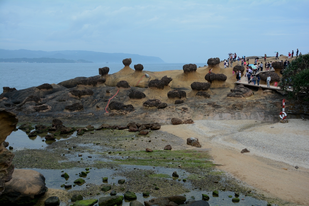 DSC_5065_conew1.jpg