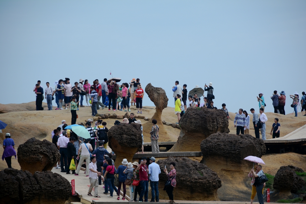 DSC_5073_conew1.jpg