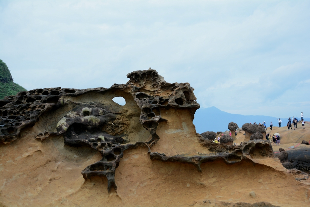 DSC_5075_conew1.jpg