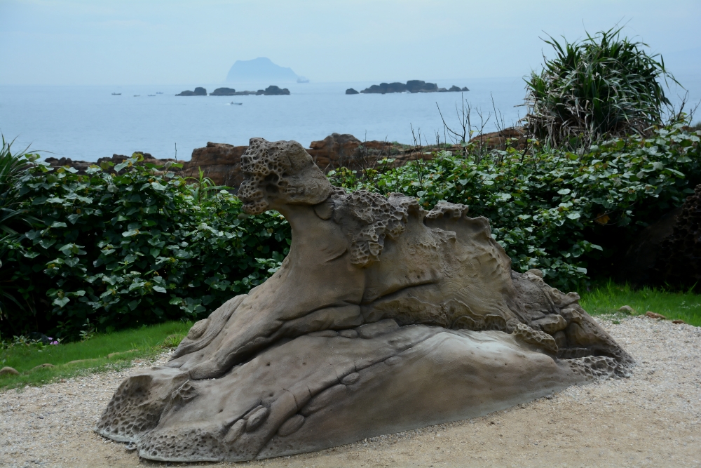 DSC_5084_conew1.jpg