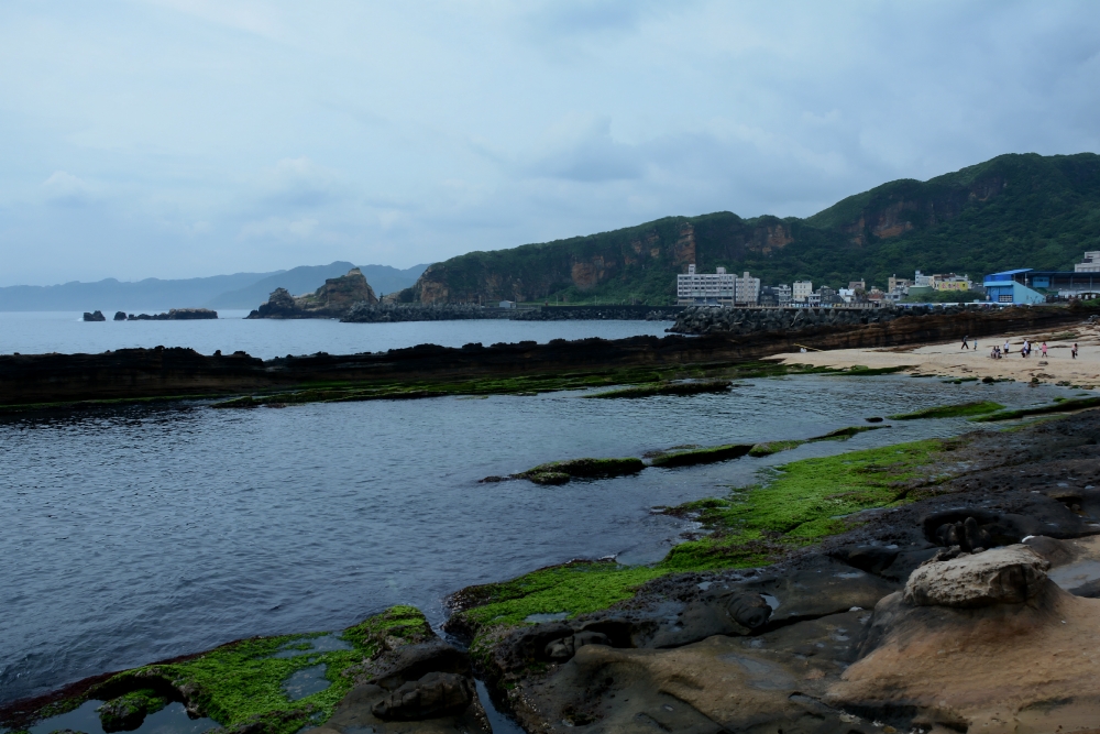 DSC_5070_conew1.jpg