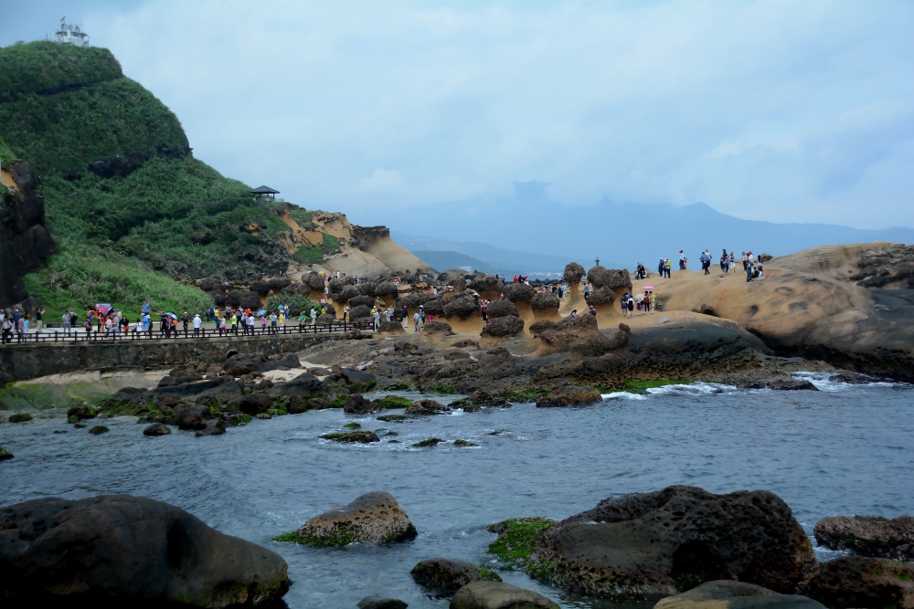 DSC_5074_conew1.jpg