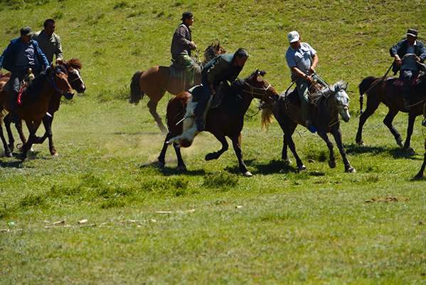 DSC_0093.JPG