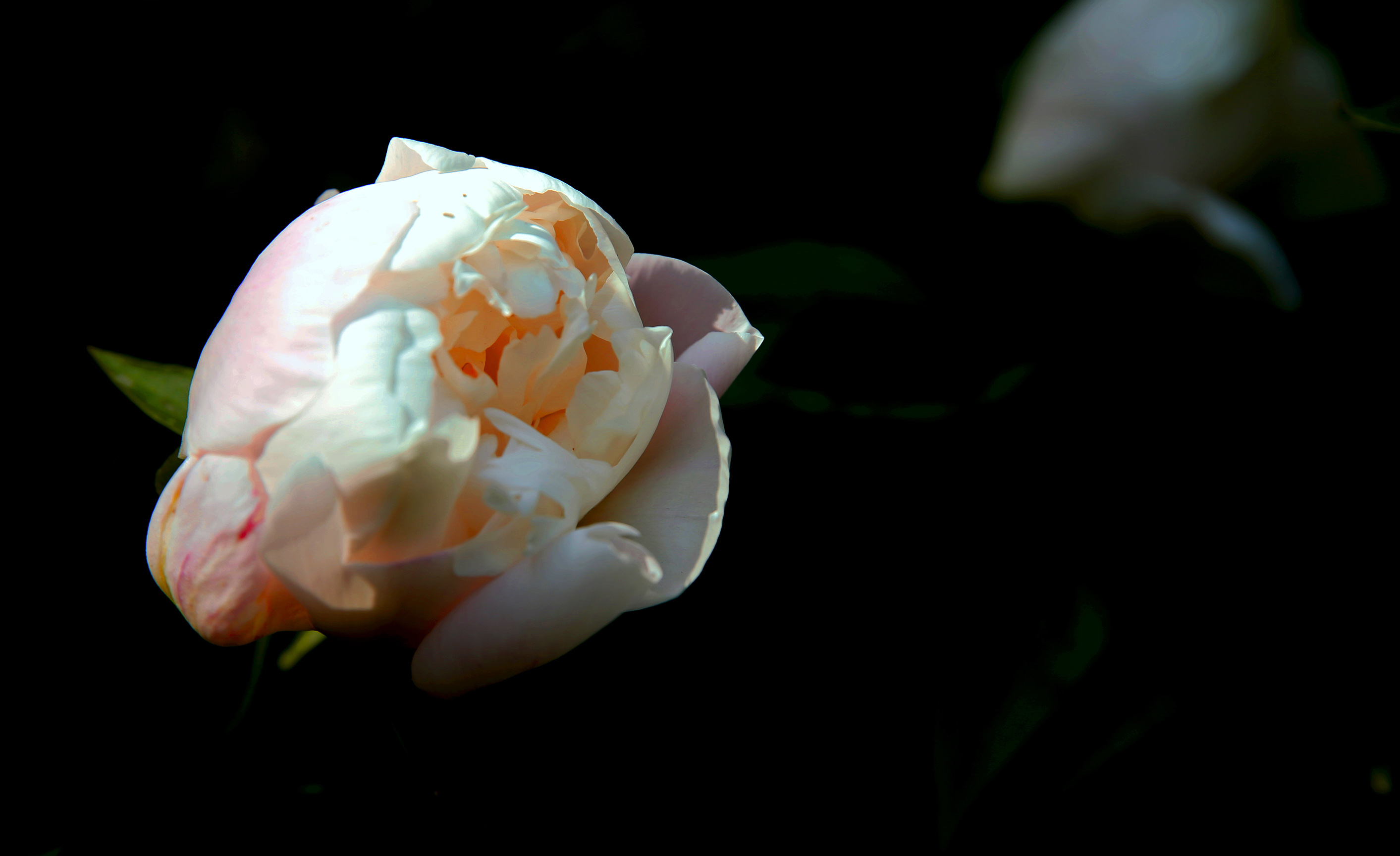 _H6A59831.jpg