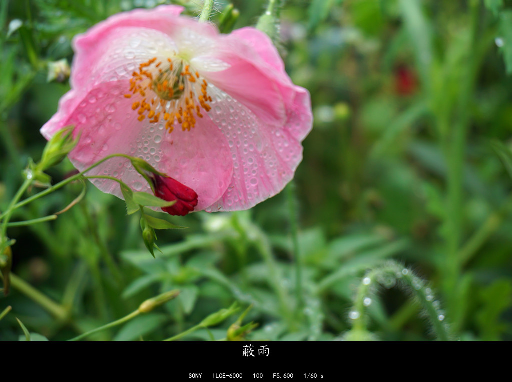 DSC01841.JPG