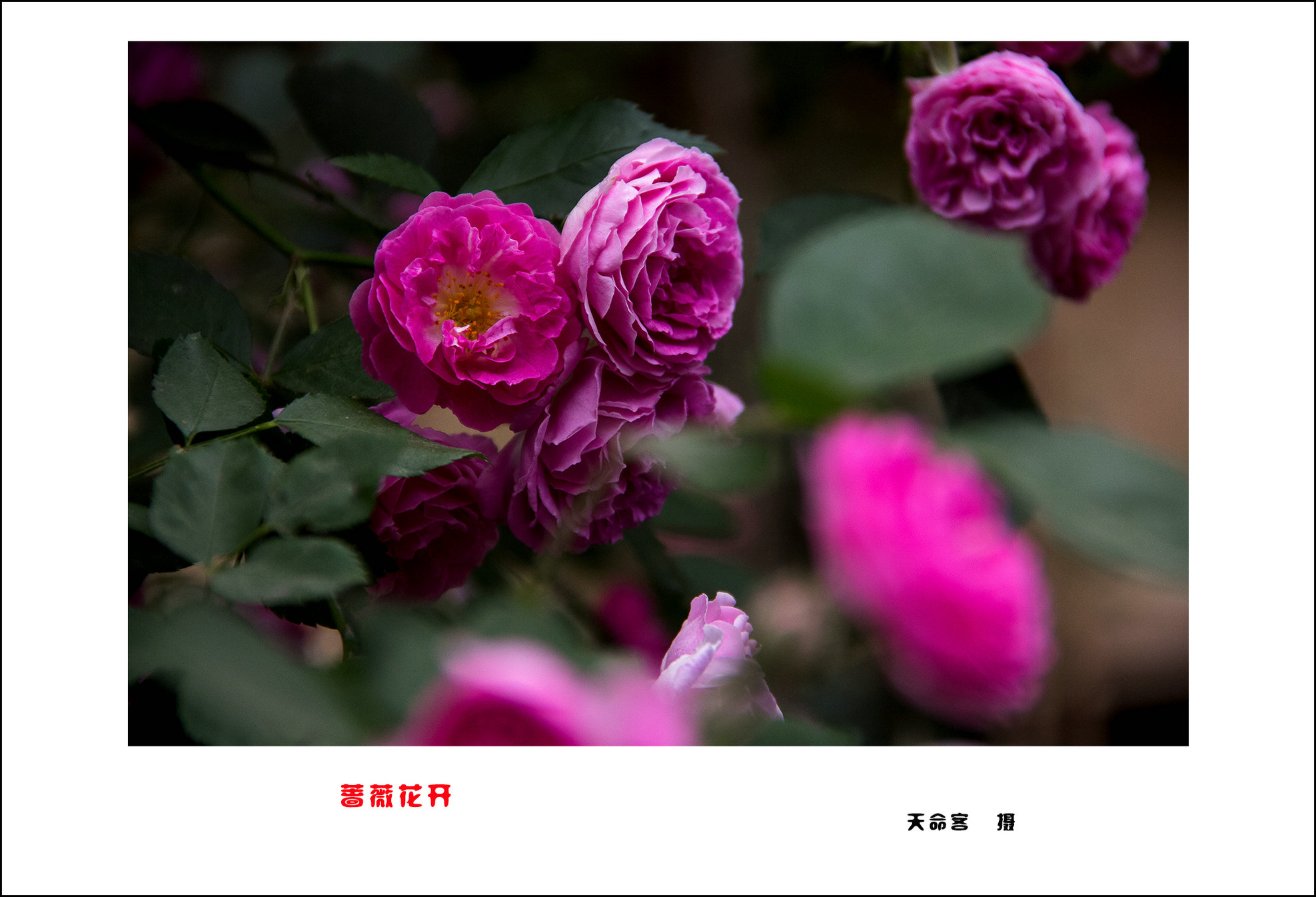 qwh01a.jpg