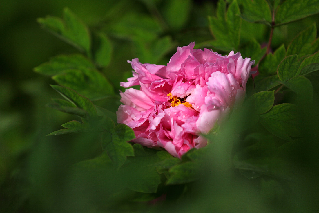 IMG_8827.JPG
