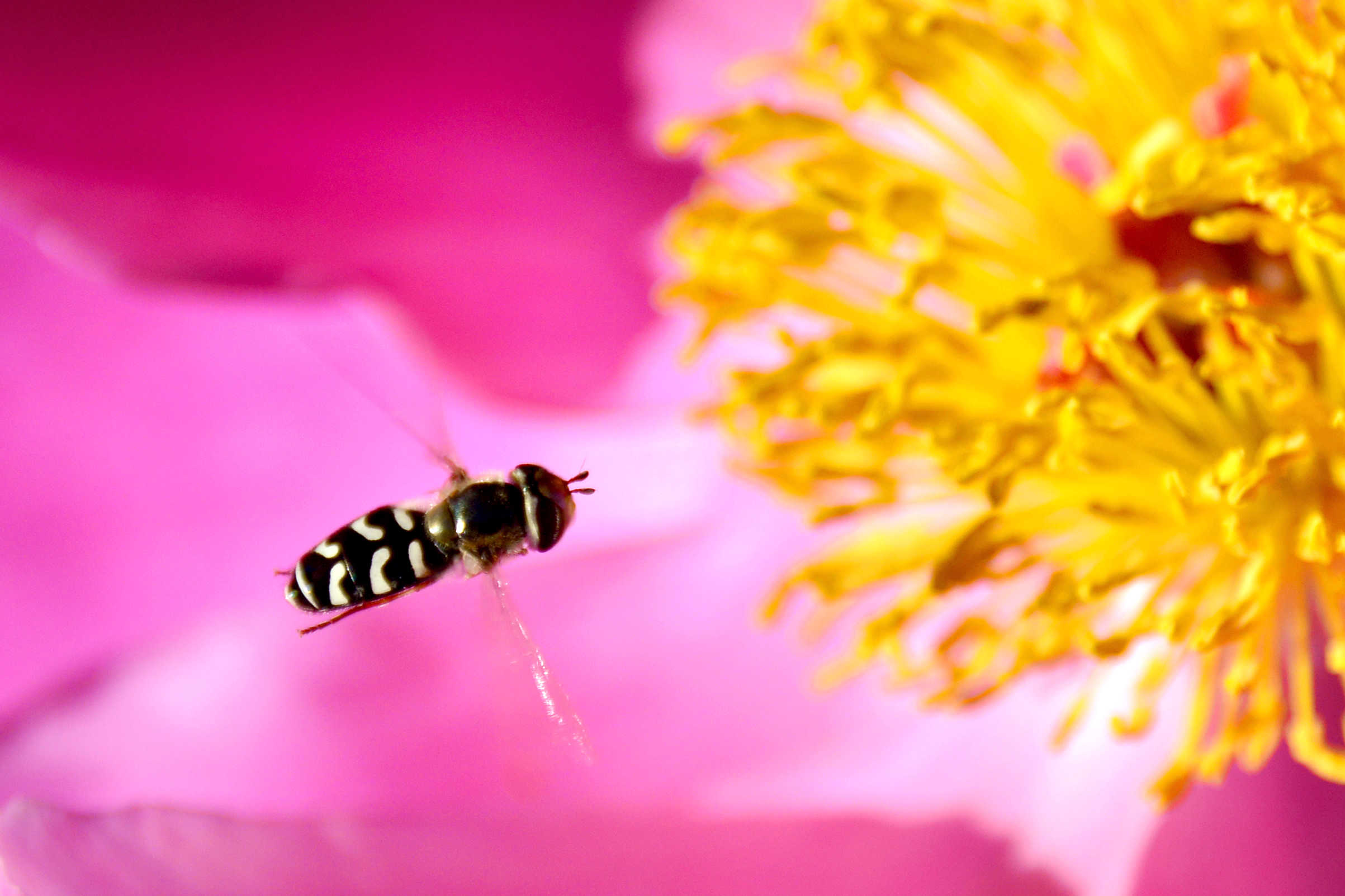 _DSC0360x.jpg