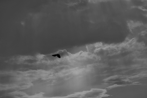 DSC_0118.JPG