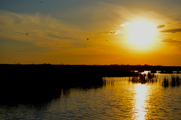 DSC_0230.JPG