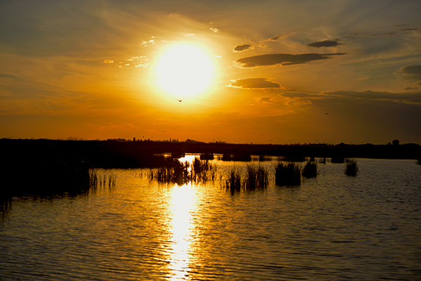 DSC_0239.JPG