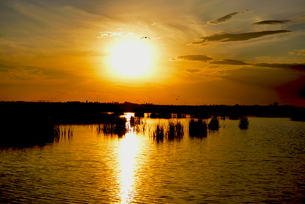 DSC_0249.JPG